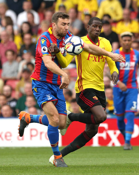 是自发组织 是自发组织